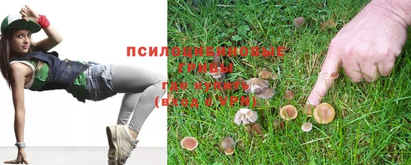 меф Алексин