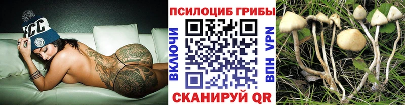 Псилоцибиновые грибы прущие грибы  Аткарск 